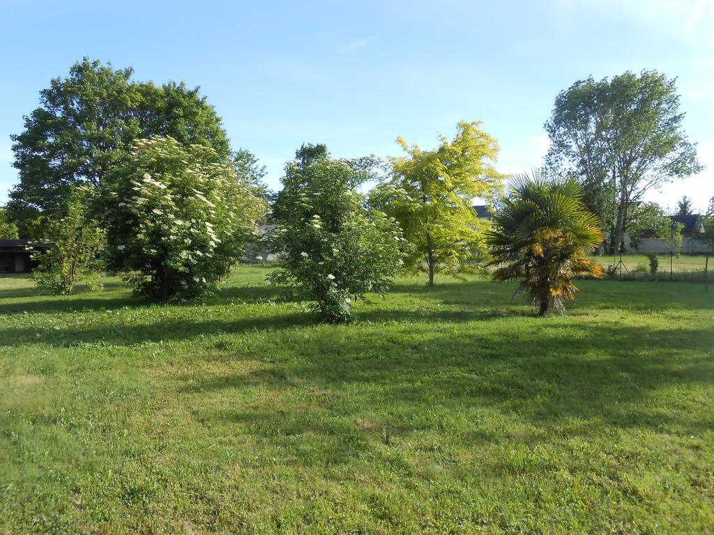 Clos Du Bois Brard B&B Saumur Exteriör bild