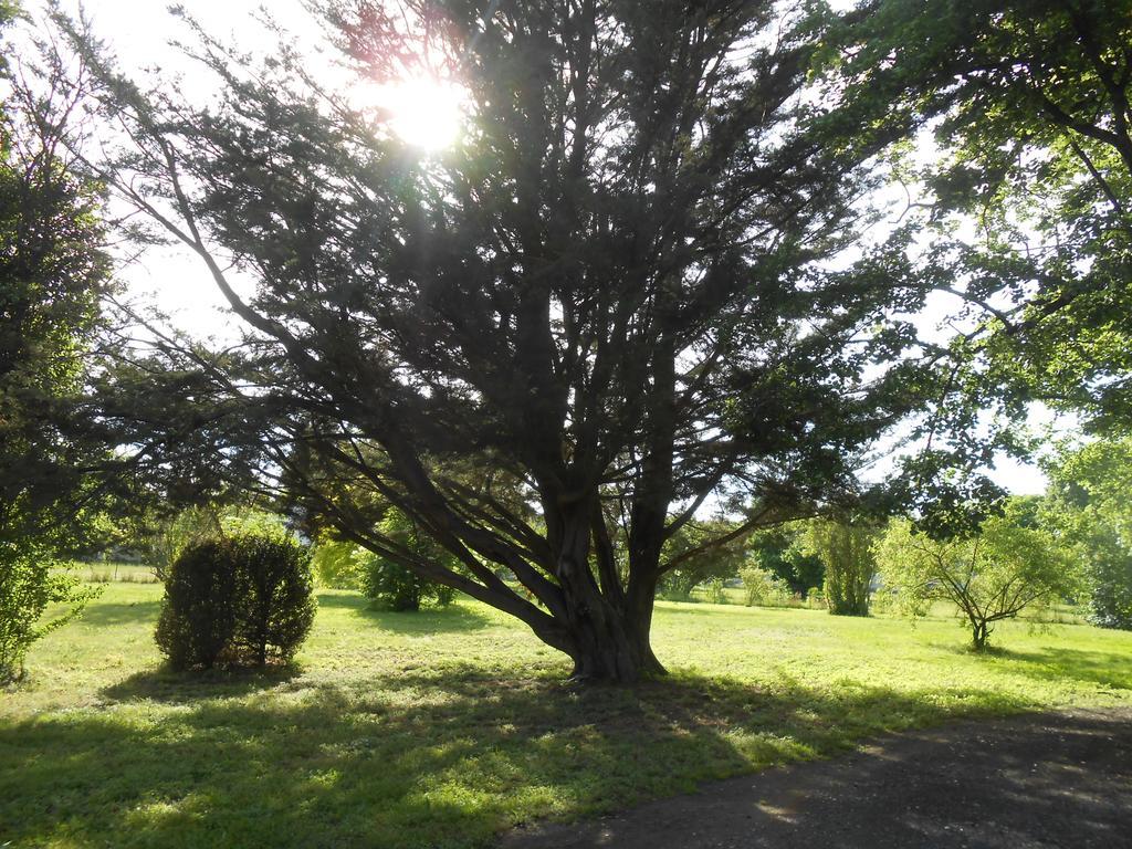 Clos Du Bois Brard B&B Saumur Exteriör bild