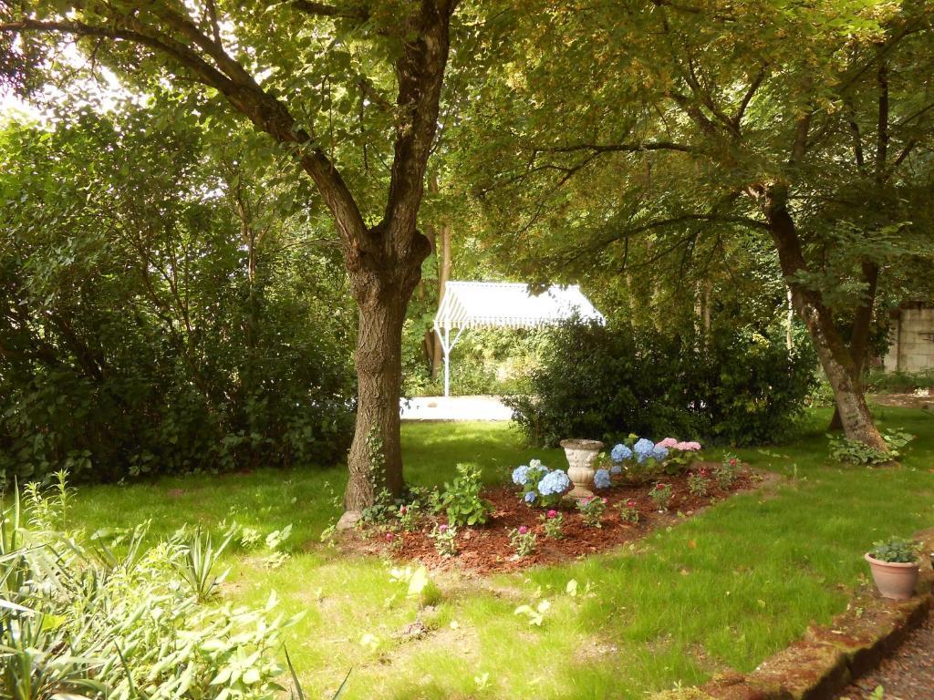 Clos Du Bois Brard B&B Saumur Exteriör bild