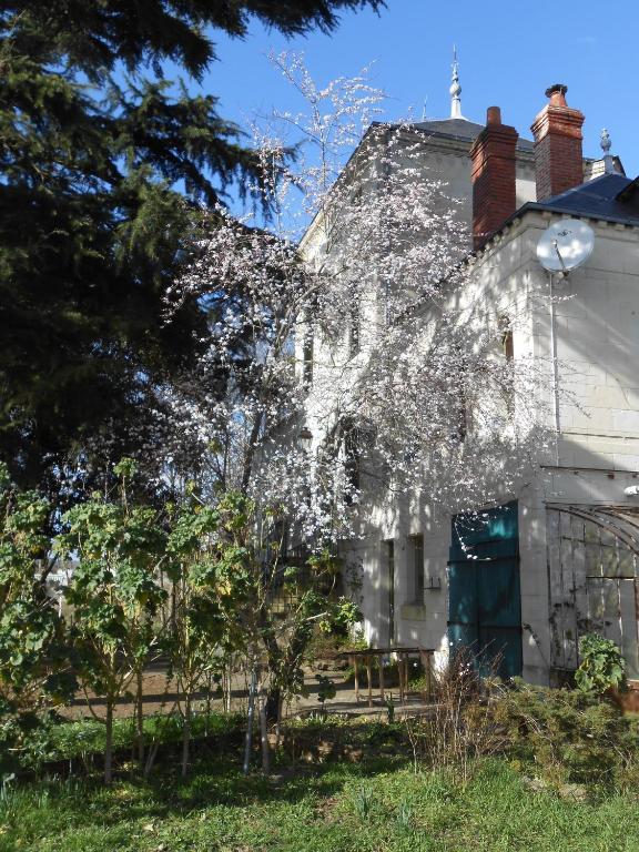 Clos Du Bois Brard B&B Saumur Exteriör bild